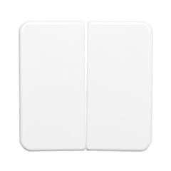 Berker IP44 Klawisz podwójny p/t bryzgoszczelne IP44 biały 53155299
