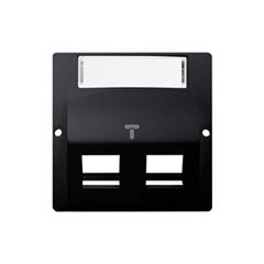 Simon Basic Pokrywa gniazd teleinformatycznych na wkłady RJ typu: Panduit skośna podwójna z polem opisowym grafit matowy BMGPS2P