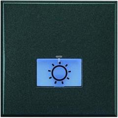 AXOLUTE Przycisk /światło/ 10A 250V /zaciski śrubowe/ antracyt HS4043/2