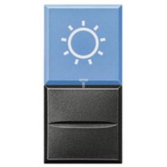 AXOLUTE Przycisk /światło/ z okienkiem 10A 230V antracyt HS4038LA/230