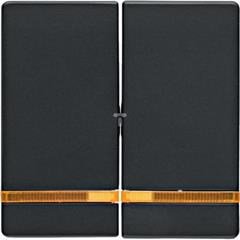 Berker Q.1/Q.3 Klawisze z soczewką antracyt/ aksamit 16276086 /2szt./