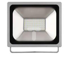 Projektor LED PROFI 30W 2400lm 4000K IP65 szary ZS2630