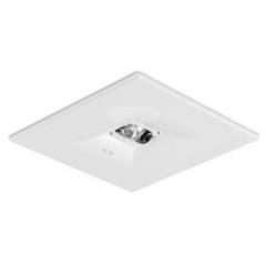 Oprawa awaryjna 1W 1h ONTEC D C1U 101 NM ST/W do korytarzy TM-OA.ODCU.C1H1ST1W 