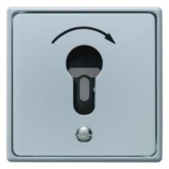 Łącznik na klucz p/t do wkładki patentowej zwierny alu IP44 4450