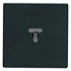 Płytka czołowa do przyłącza kablowego Berker Q.1/Q.3 antracyt, aksamit   10196086