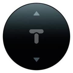 Klawisz z nadrukiem symbolu strzałki Berker R.1/R.3 czarny, połysk 16202005