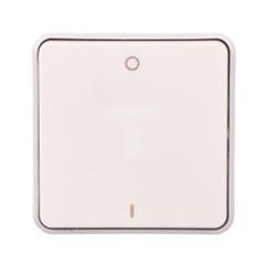 PLEXO55 Łącznik dwubiegunowy biały/ ecru 069627