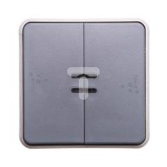 PLEXO55 Przycisk podwójny z podświetleniem szary 069546