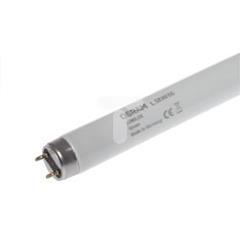 Świetlówka G13 58W 66 L58W/67 4050300024288