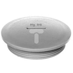 Zaślepka poliamidowa PG36 SKINDICHT BLK-GL 36 jasnoszara 52024855