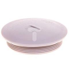 Zaślepka poliamidowa PG48 SKINDICHT BLK-GL 48 jasnoszara 52024857