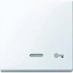 Klawisz z lampką sygnalizacyjną z ozn. /klucz/, B.A, P, Sys M MTN435325