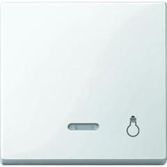 Klawisz z lampką sygnalizacyjną z ozn. /światło/, B.P, P, Sys M MTN435919