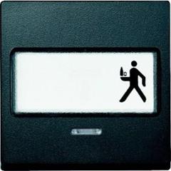 Klawisz z polem opisowym i lampką sygnalizacyjną, antracyt, system M MTN434614