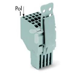 Gniazdo 2-przewodowe XCOMS 15-biegunowe szare 2020-215/145-000