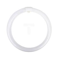 Świetlówka kołowa G10q 32W 840 4000K L32W/840C 4008321581143