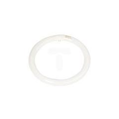 Świetlówka kołowa G10q 32W 830 3000K 32W/830 TLE 8711500559678