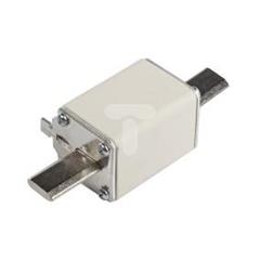 Wkładka bezpiecznikowa NH1 100A gF 500V WT-1 004139117