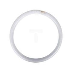 Świetlówka kołowa G10q 40W 830 3000K TLE ciepłobiała 8711500284761