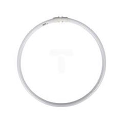 Świetlówka kołowa 2GX13 60W 830 3000K 60W/830 CIRCULAR TL5 8711500642592