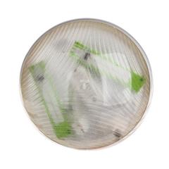 Plafoniera 2x 9W G23 Ikl. 230V IP44 CAMEA 141232