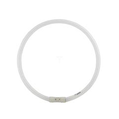 Świetlówka kołowa 2GX13 40W/840 4000K MASTER TL5 Circular 871150064223325