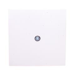 Berker S.1/B.3/B.7 Glas Element centralny do przyłącza kablowego i gniazda VDo biały 10198989