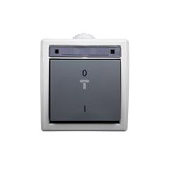 Aquant Łącznik dwubiegunowy natynkowy ŁNT-2 10A IP55 szary 1203-10