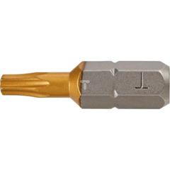 Końcówki wkrętakowe TX20 x 25 mm 57H973 /2 szt./