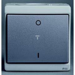 Łącznik dwubiegunowy IP 55 szary ENN35733