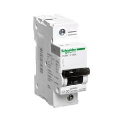 Wyłącznik nadprądowy 1P C 100A 10kA AC C120N A9N18358