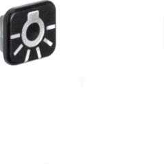 Berker W.1 Soczewka z nadrukiem symbolu światło"" 18223501""