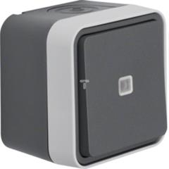 Berker W.1 Łącznik uniwersalny przyciskowy z podświetleniem kompletny IP55 szary 50763505
