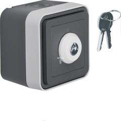 Berker W.1 Łącznik na klucz z zamkiem, klucz w 2 pozycjach kompletny IP55 szary 32713505