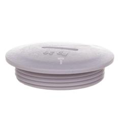 Zaślepka poliamidowa PG29 SKINDICHT BLK-GL 29 jasnoszara 52024854