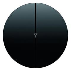 Berker R.1/R.3 Klawisz podwójny do łącznika czarny 16232045