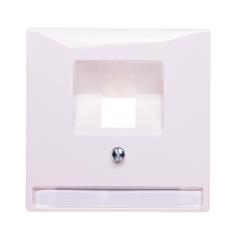 Merten Płytka centralna pojedyncza pod wkład komputerowy RJ45 bialy polarny MTN291819