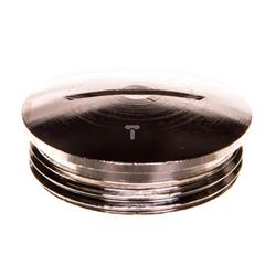 Zaślepka mosiężna PG21 IP54 SKINDICHT BL 21 52003430